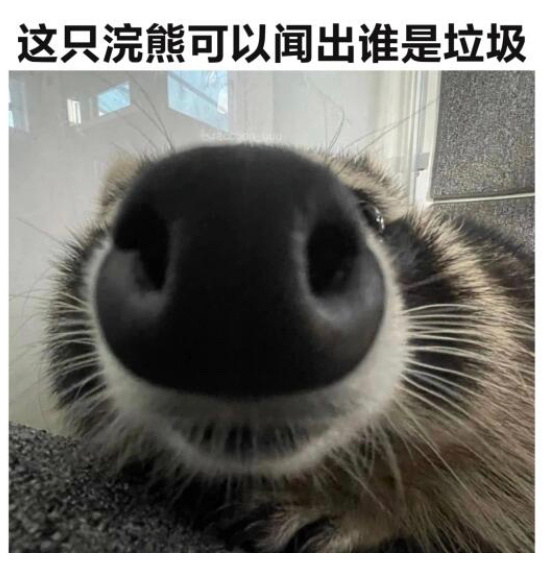 哥哥用弟弟的录取通知书上大学那个案子我看到判决书才发现，这个弟弟好惨啊，简直比狗