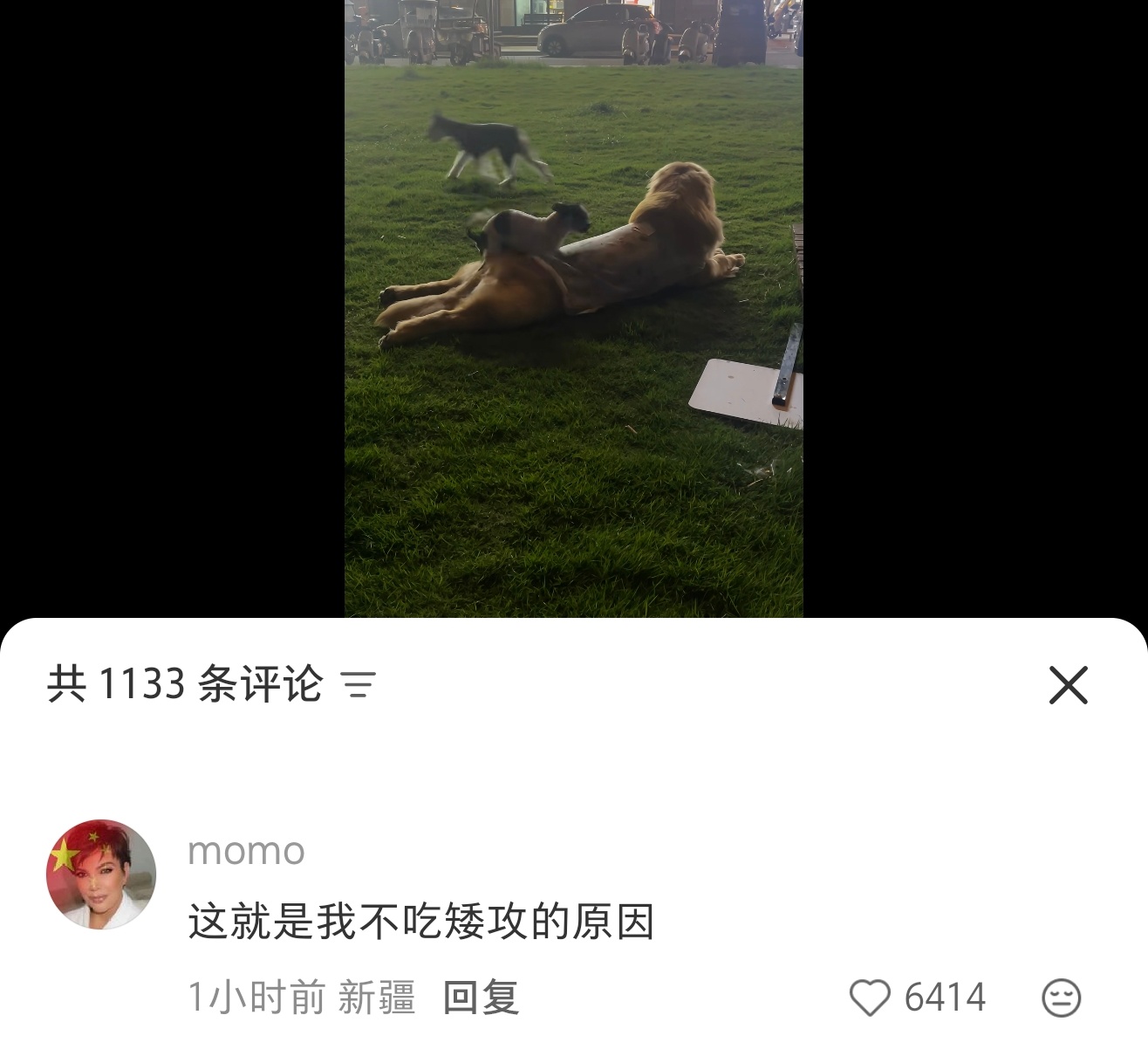 笑吐了 ​​​