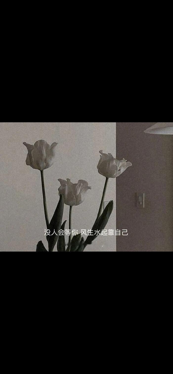 人不可能每一步都正确，我不想回头看，也不想批判那个时候的自己。最不值得犯的错