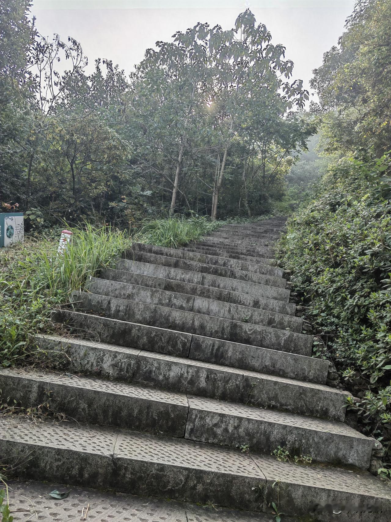 为什么让孩子发展特长？

       本地有个老板，做冻肉制品生意的，老板年轻