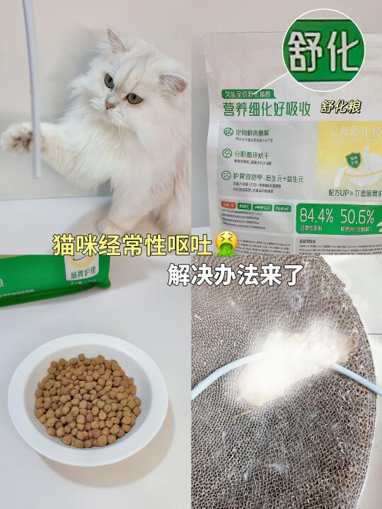 猫咪吃粮就吐？换它后终于能安心干饭了！