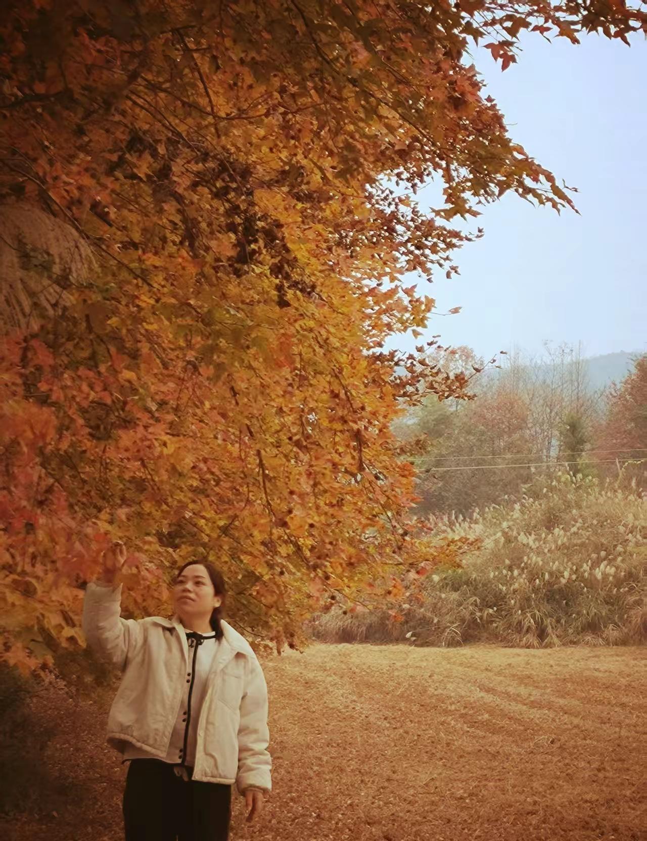 亲爱的老己:今年做个温暖的人， 以最大的平静去爱我们不确定的生活， 人静   心