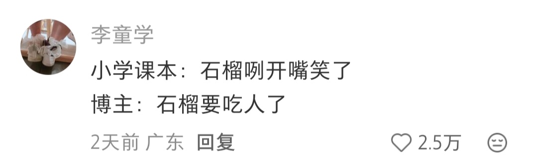 石榴也准备过万圣节了 ​​​