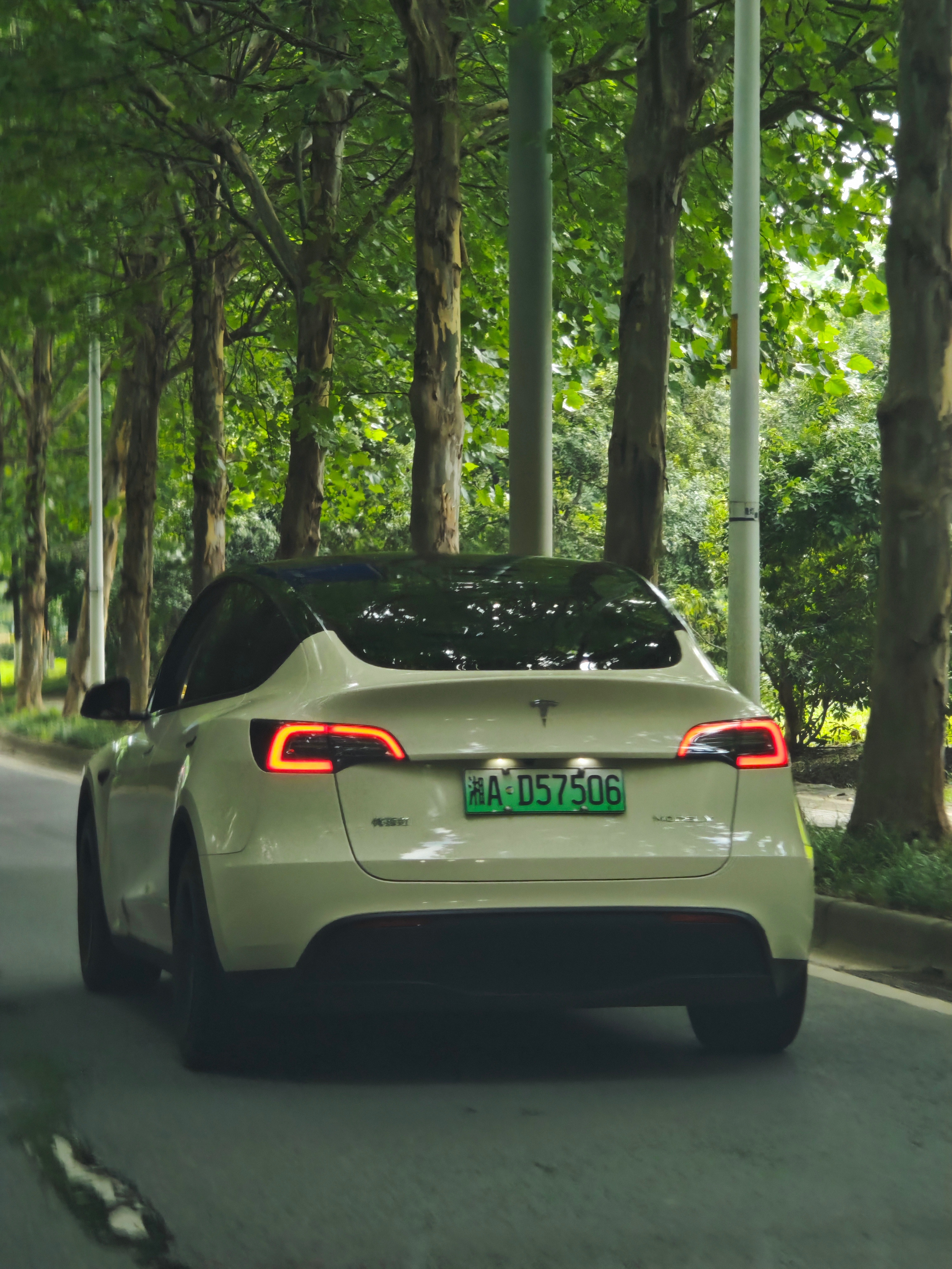 上班路上，绿野仙踪主题model y