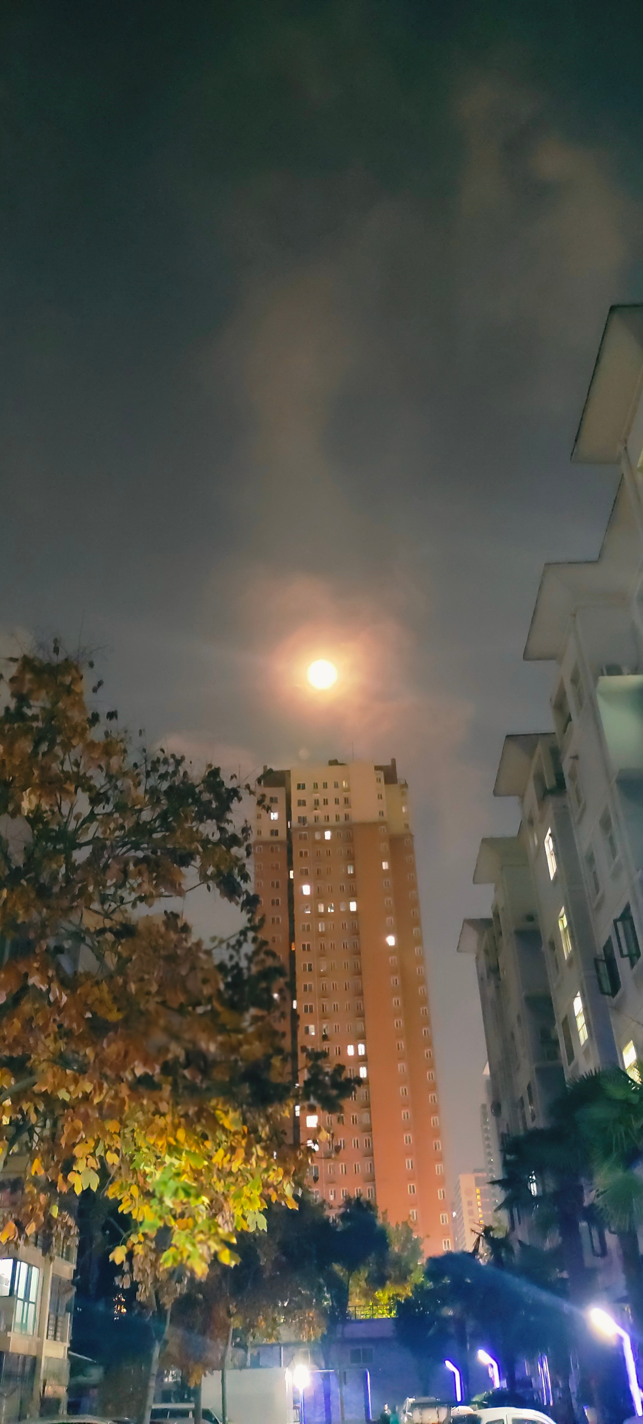 超级月亮拍摄挑战赛 在灯光映衬下，今天的月亮好比早晨的太阳！ ​​​