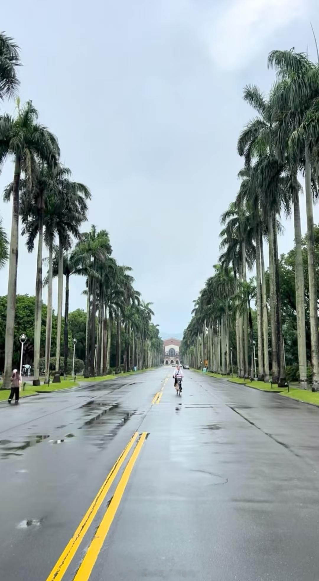 每当忆起台大的椰林大道，都会想起当年那一套，非常喜欢的电视剧《流星花园》。宝岛，