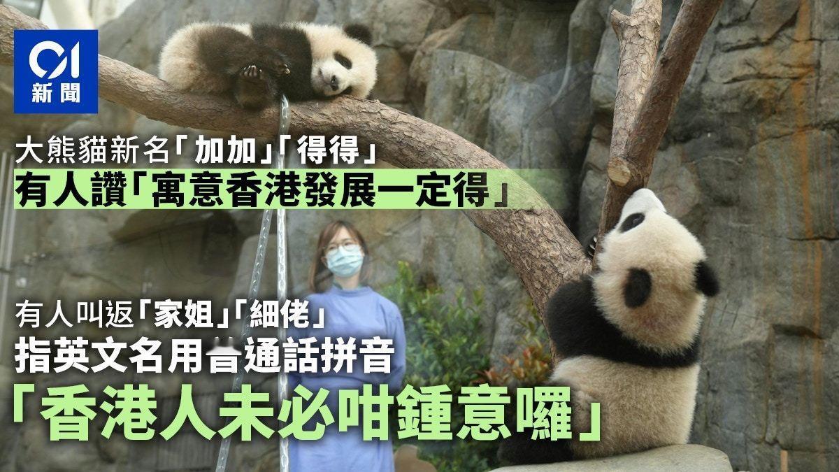 这次两只港产大熊猫取名为“加加”跟“得得”。

有网民表示，为什么用普通话拼音(