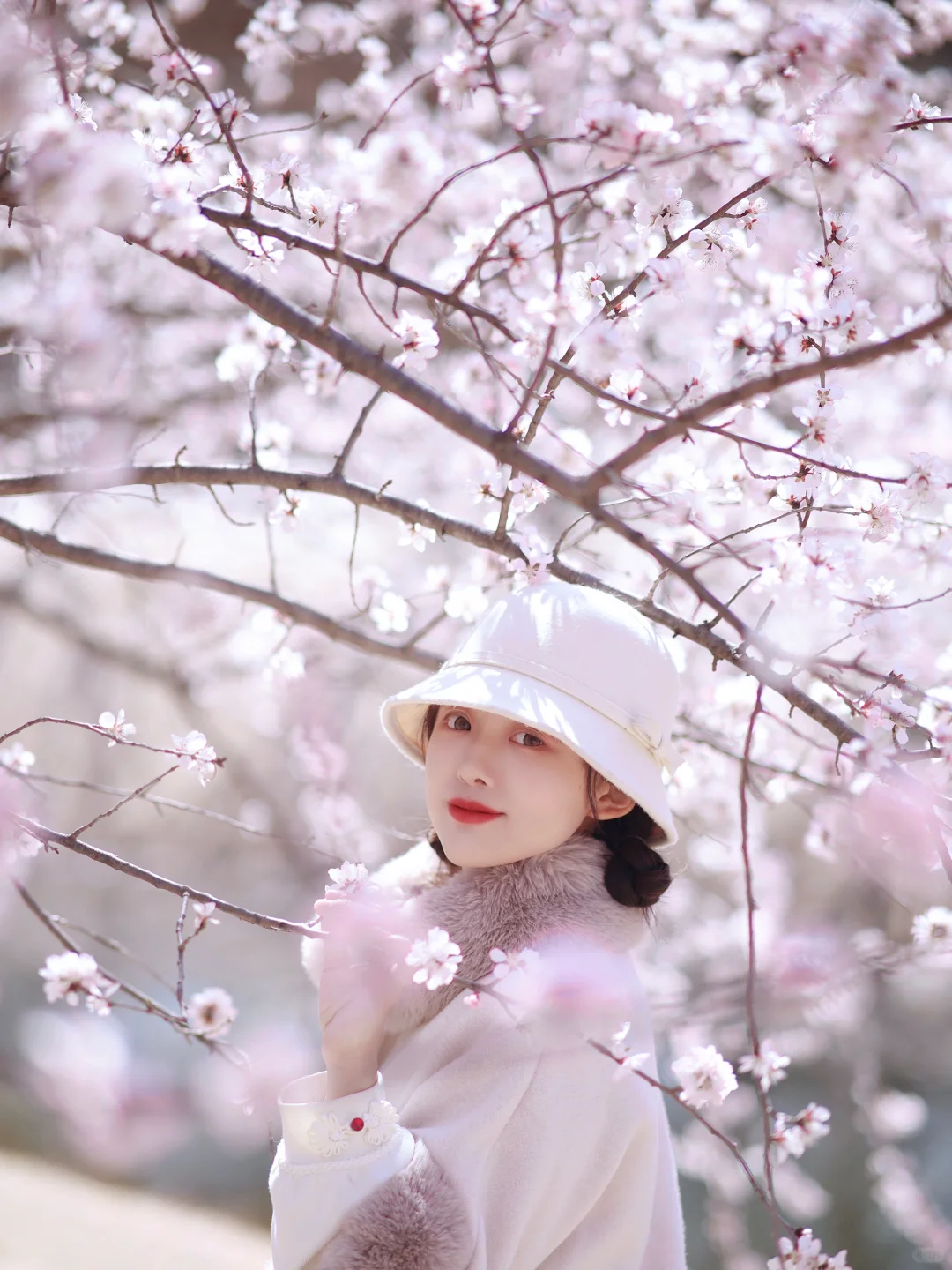 3.19实拍｜奥森山桃花已上线，人少可冲