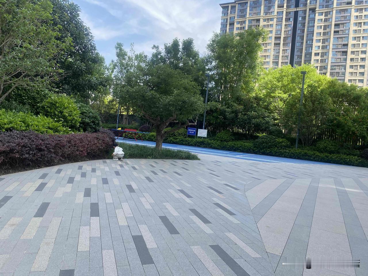 晒图笔记大赛城市天际线下的云海，静谧而美丽。