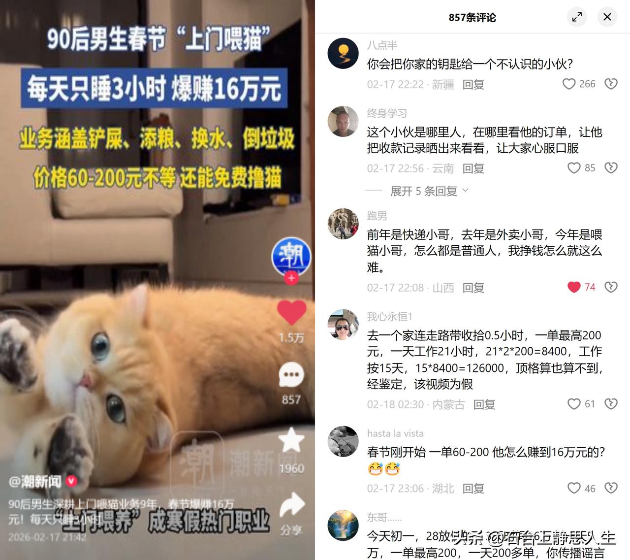 喂猫20天赚16万？

别光盯着数字眼红，真相是这是5人团队20多天的总流水