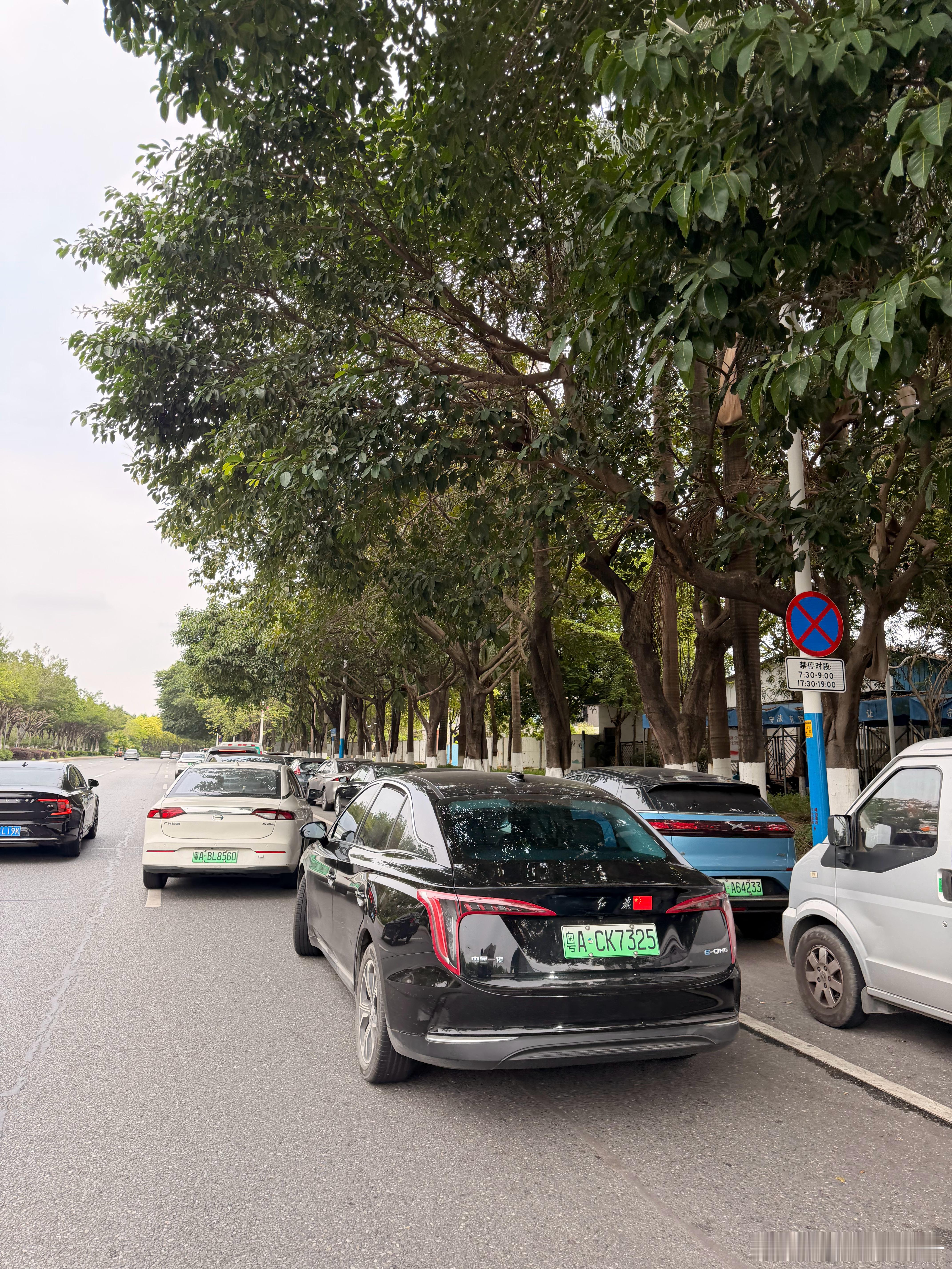 处理违章时发现交警大队居然没有停车场！门口停了一大长串违停车辆实则都是来办事的开