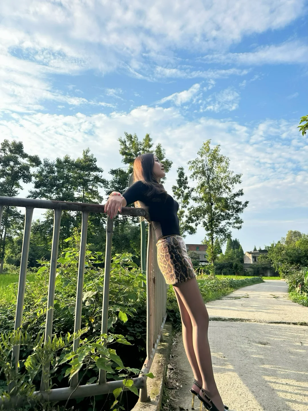 路过一片稻田🌾