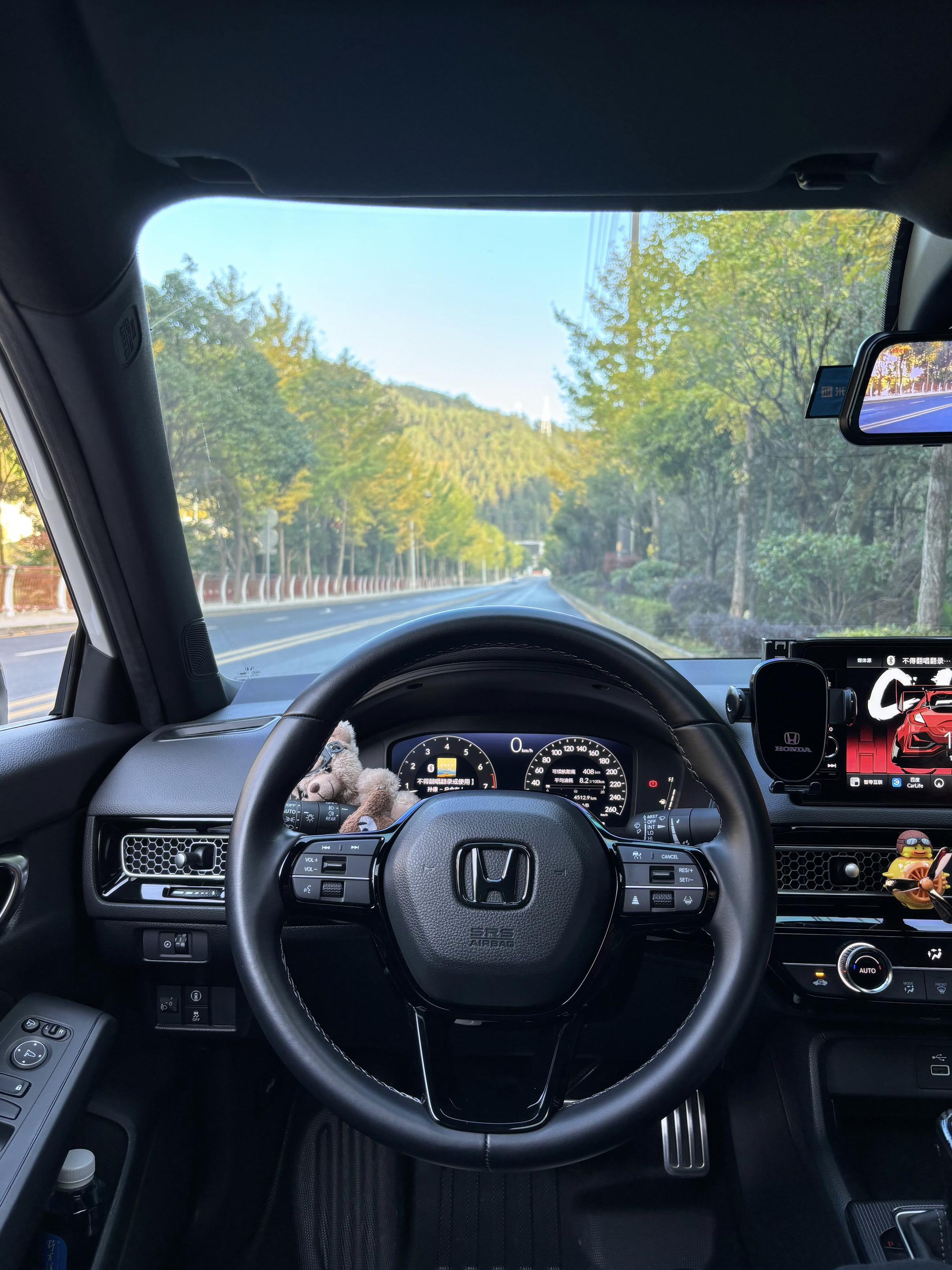 只回复开本田的，可以看看大家的思域吗