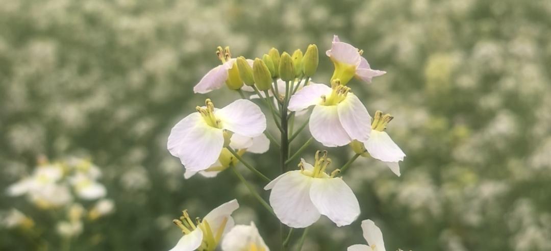 不要和任何人分享这 5 样东西
因为人性
1、不要分享你家里有多少钱，说多了别人