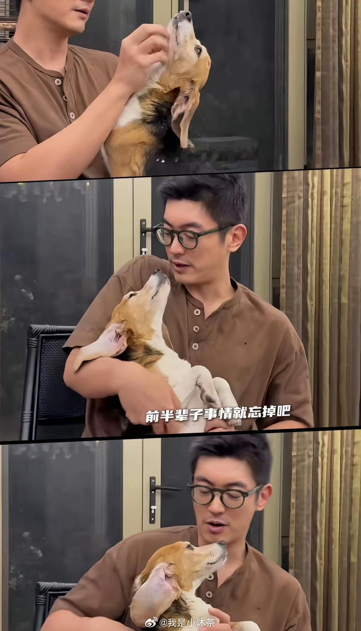 杜江发声动物的命也是命   生命很可贵  我们都是活在地球上的生命 都很珍贵 