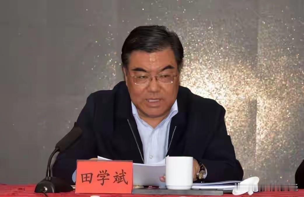 在落马半年之后，田学斌违法违纪线索浮出水面，从查实的问题来看，田学斌并不老实，好