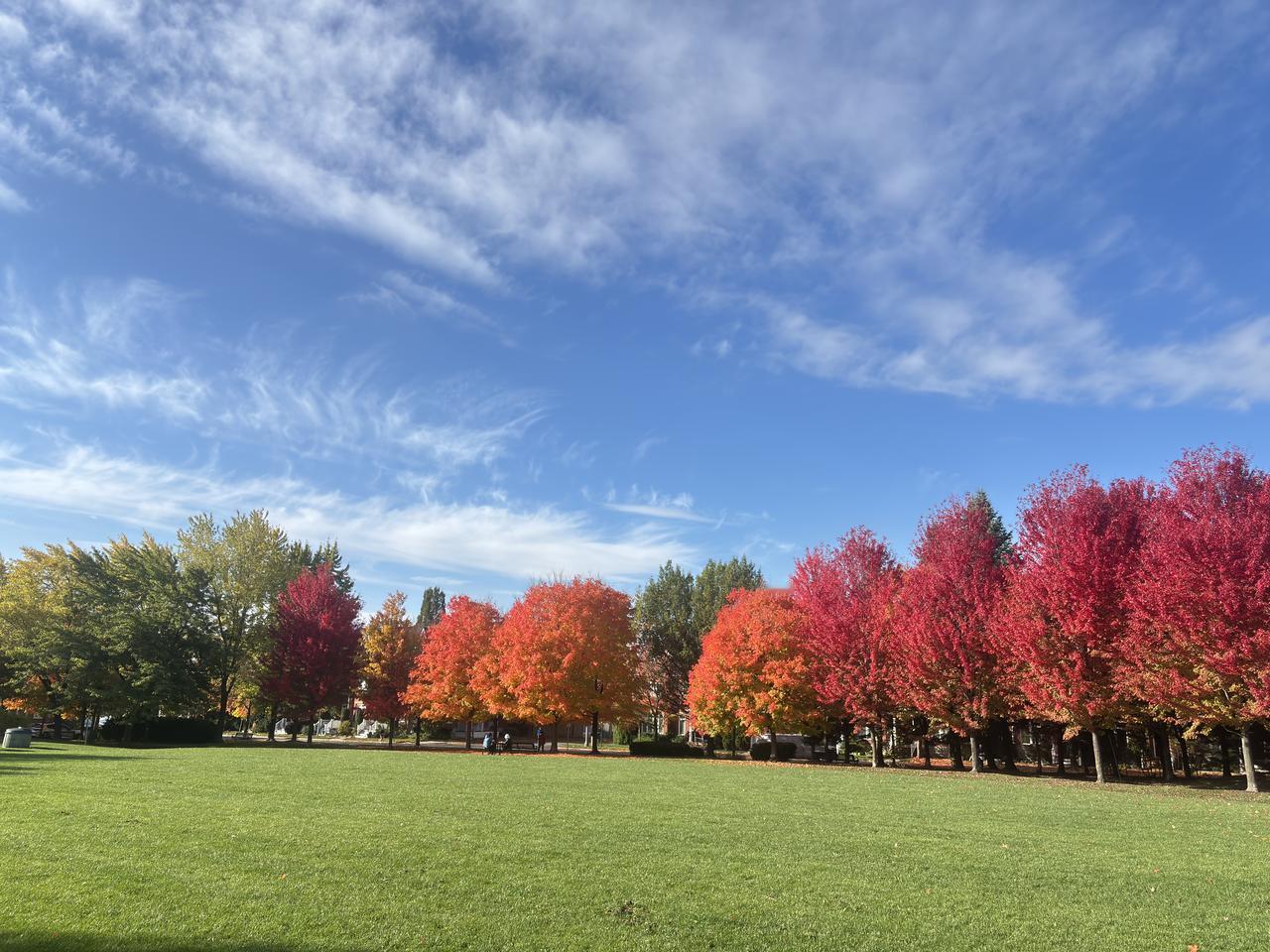 这位人间清醒啊！
“比特币14年翻了近万倍！！！才跌一点点，就鬼喊乱叫！有啥关系
