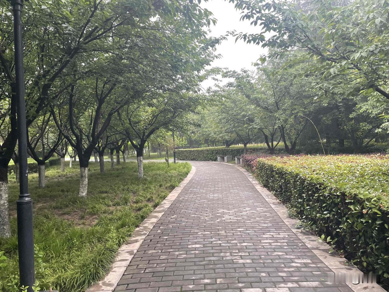 【鹧鸪天•雨霁云收草色娇】
雨霁云收草色娇，流莺不语燕飞高。
微风扇里杨花乱，细