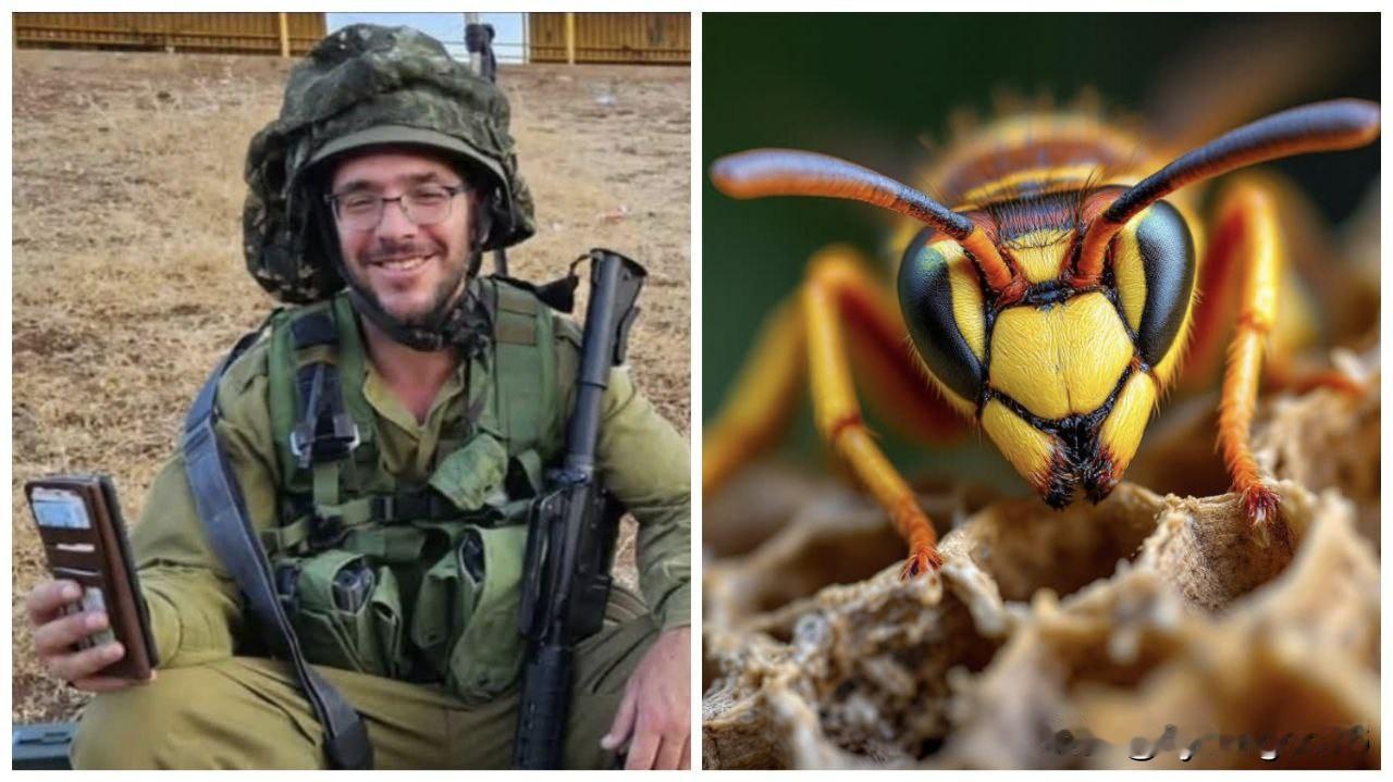 🇮🇱一名名叫莱维娜·沙莱夫的以色列士兵在戈兰高地被黄蜂蜇伤后，因严重过敏反应