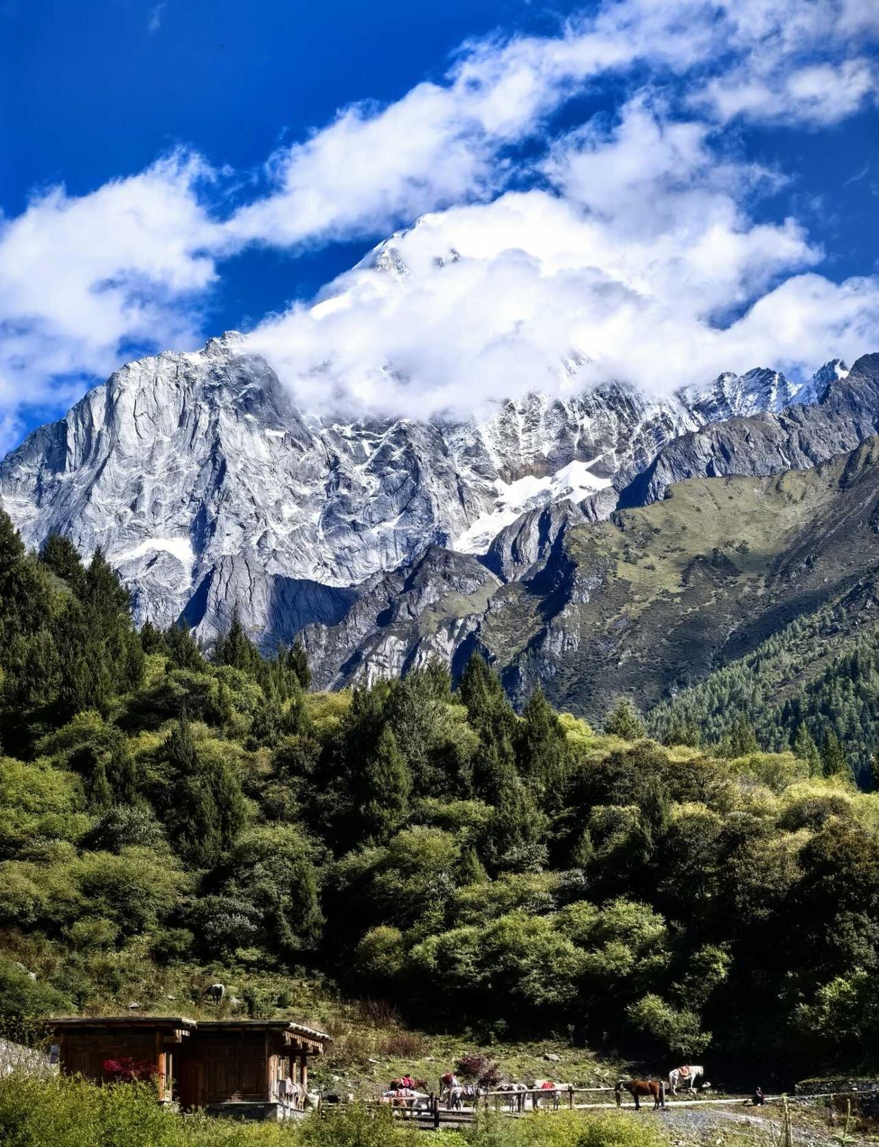 🏔赌对了！长坪沟今日满分晴天
蓝天白云毫无保留，幺妹峰稍后就会清晰完整，晨雾轻