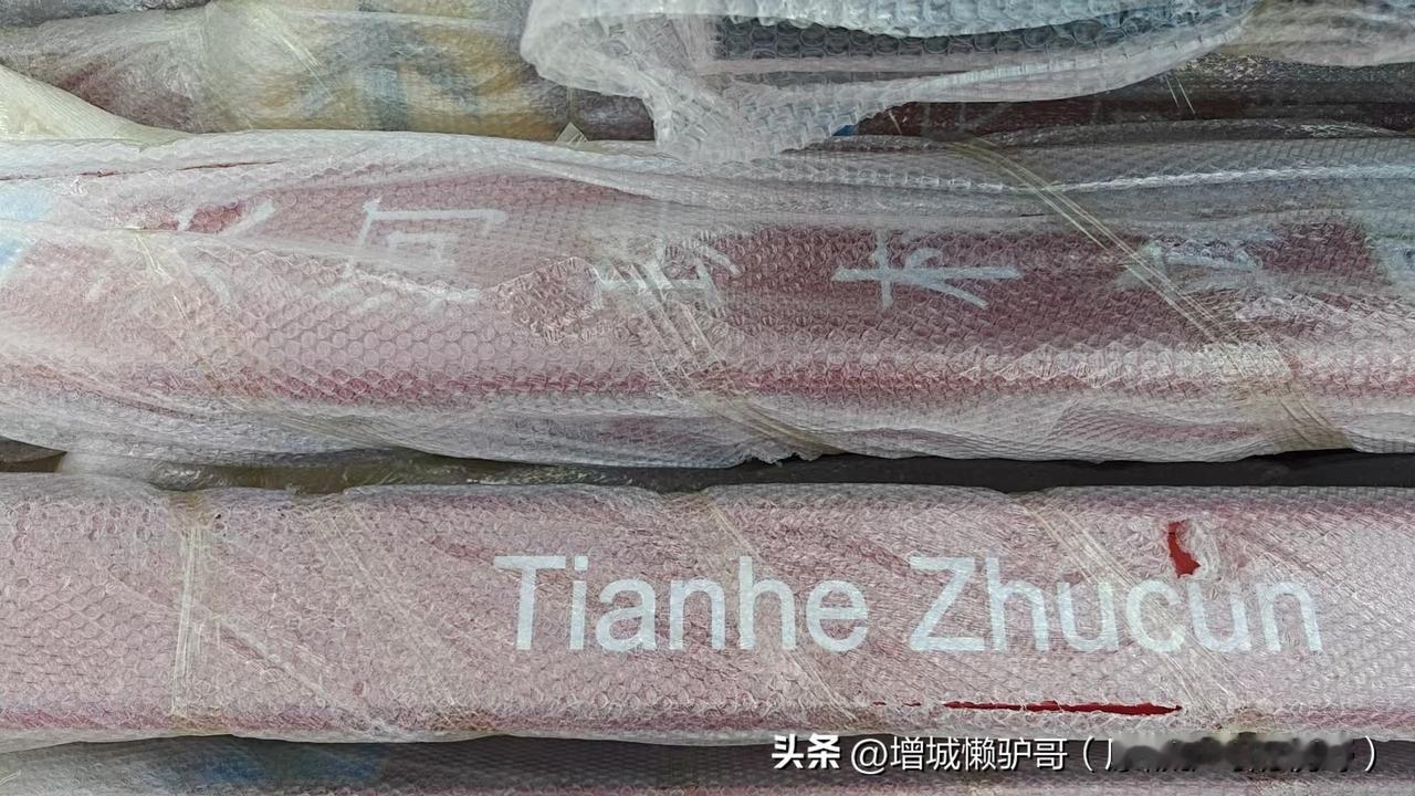 广州地铁13号线珠村站正式定名为