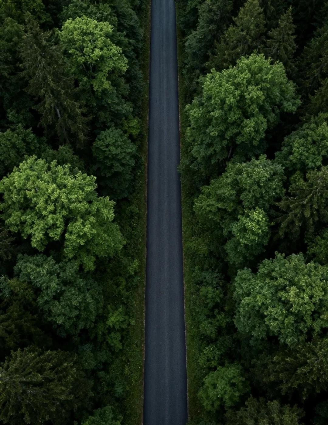 成都院子进入营造水系阶段，除了自助院子，还有5栋30间客房，可供旅居和工作室长租