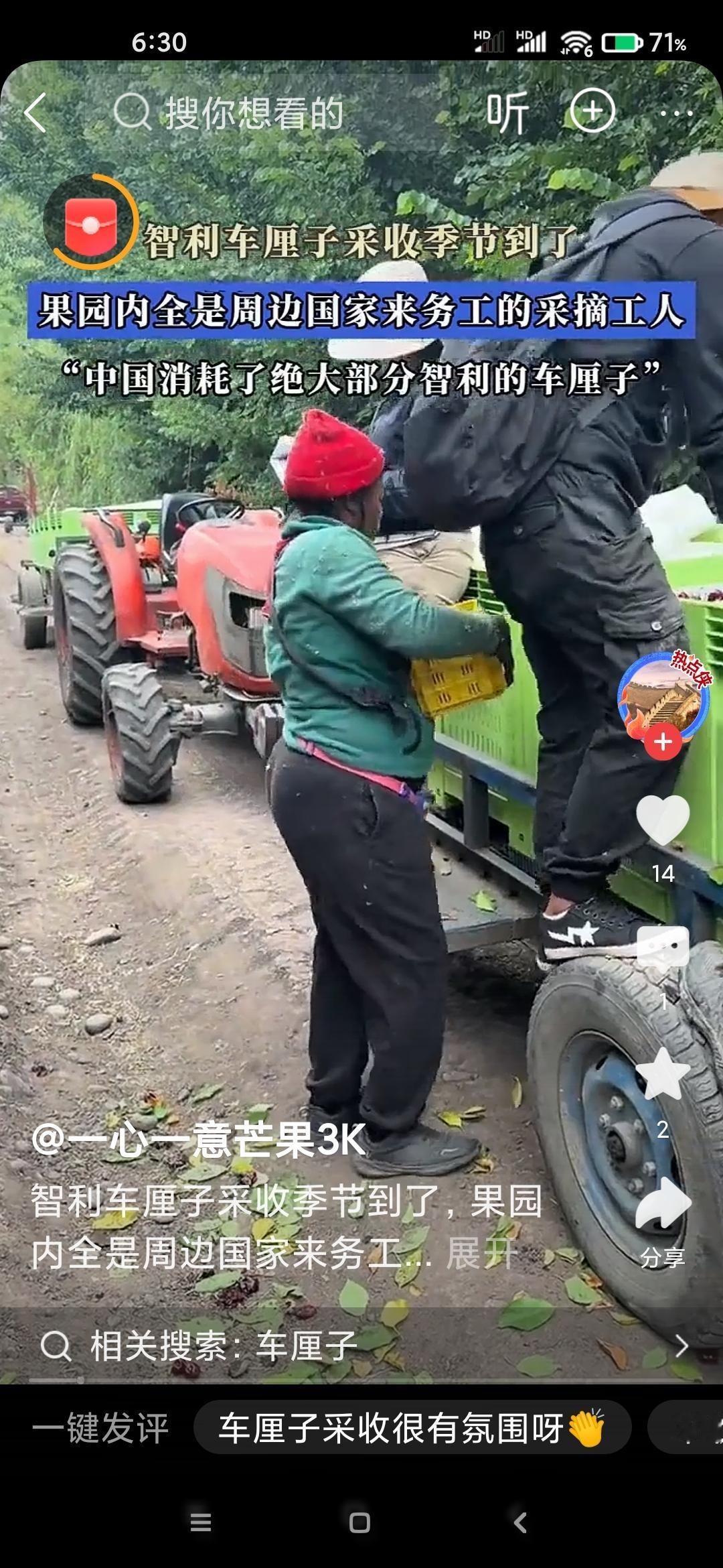 今年冬天，智利车厘子大量涌入中国市场，引发零售价格下滑。

然而，面对这波降价浪