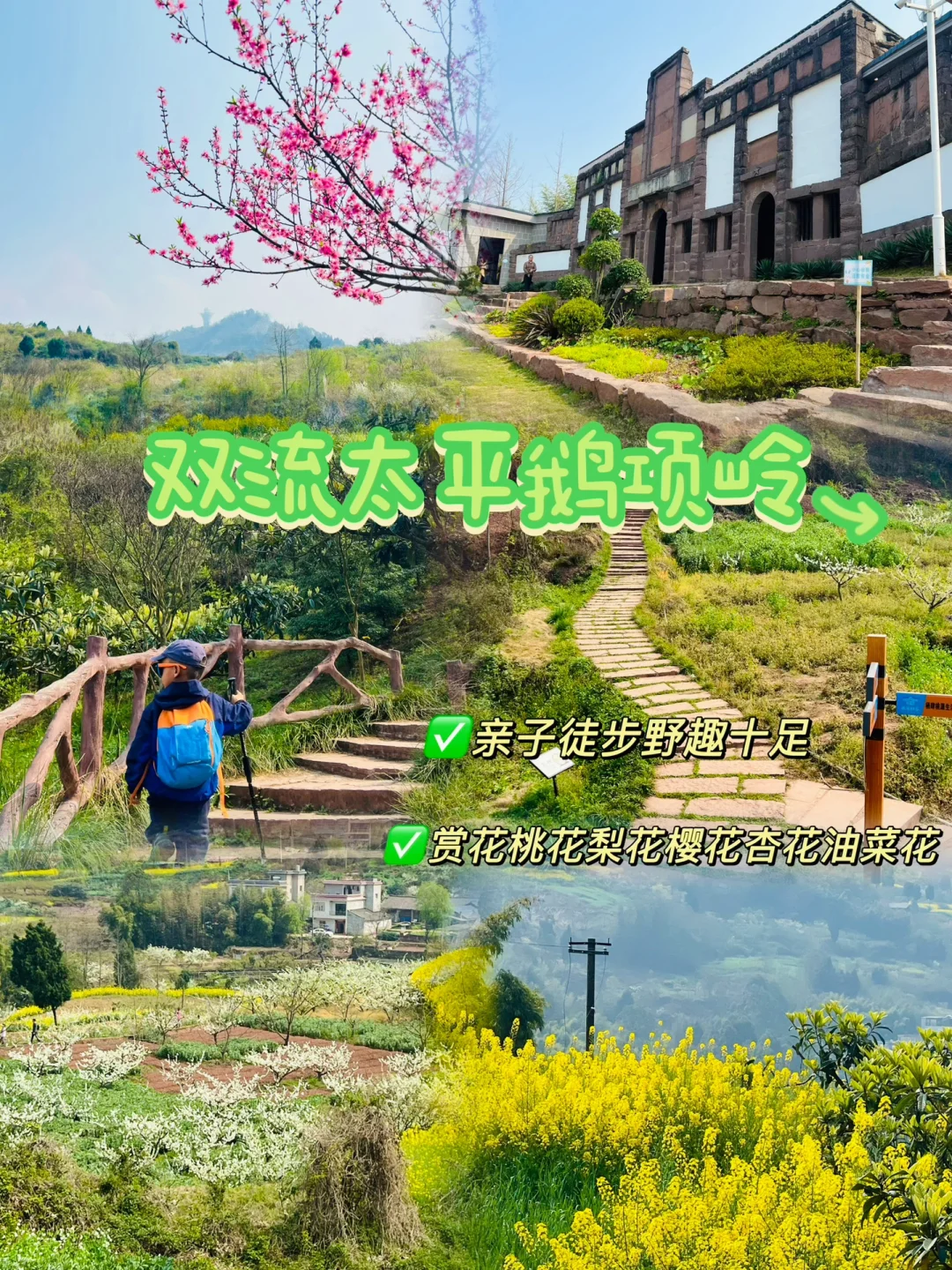 南门40min‼️鹅项岭亲子徒步赏花太治愈了