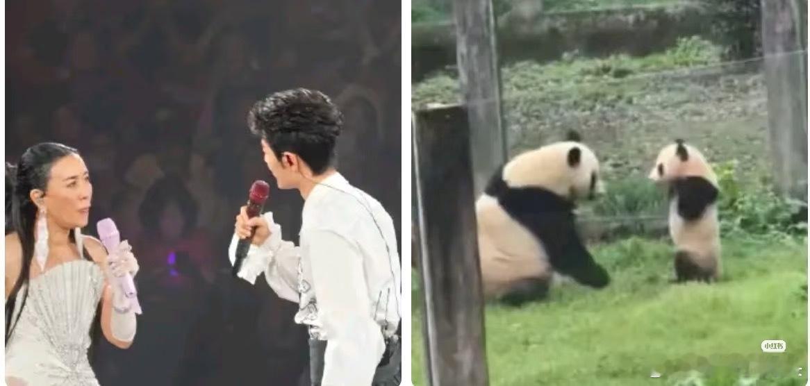 那英肖战互问幻视莽小五和他妈在对峙[允悲] ​​​
