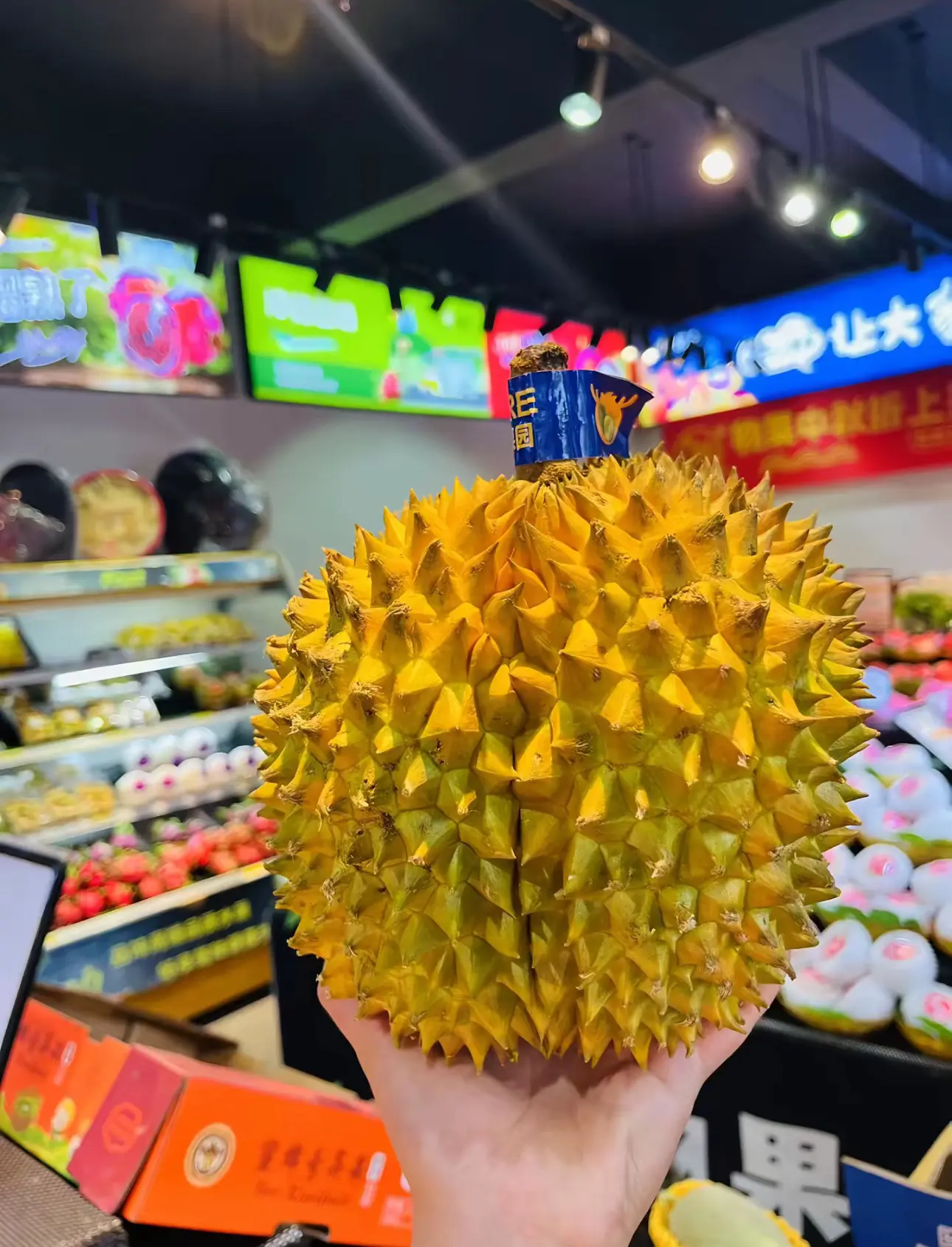 去趟水果店 你就会知道 不努力 水果都吃不起