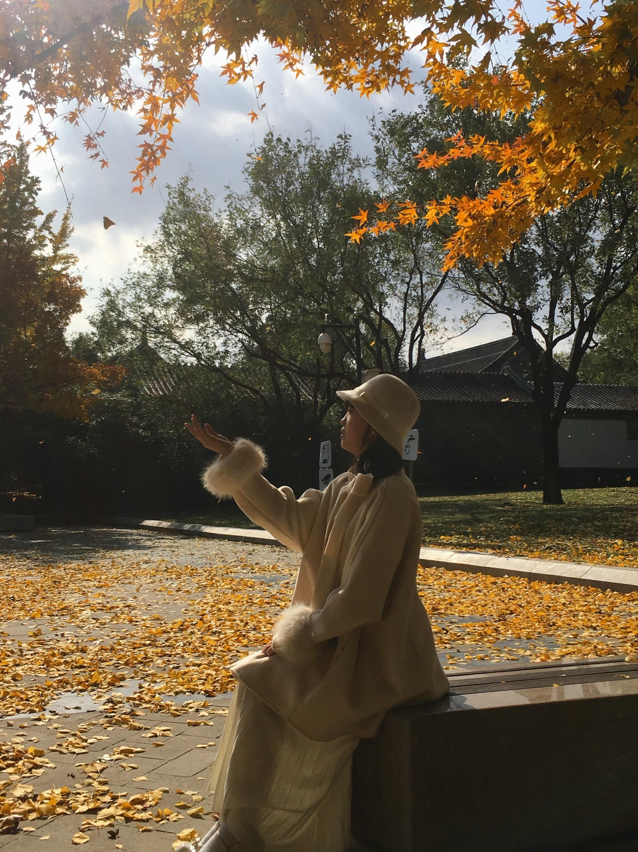 自古逢秋悲寂寥。