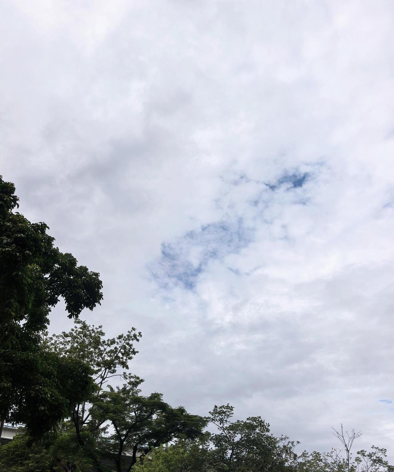开学才48小时，一年级的家长群就因为一张课表直接“冰封”了！你家娃刚上小学那阵儿
