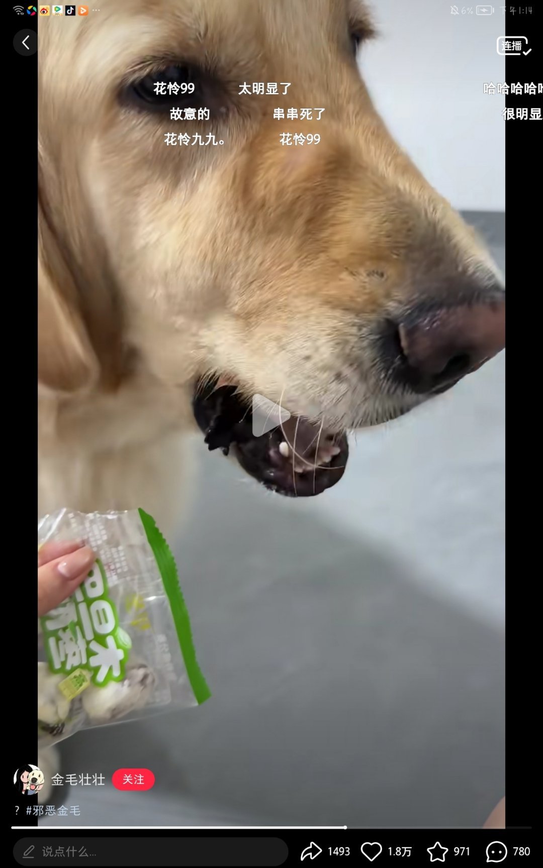 不是，在与你担/推毫无关系的视频，你在弹幕里提你推？挺招笑的我并不知道你们这些人