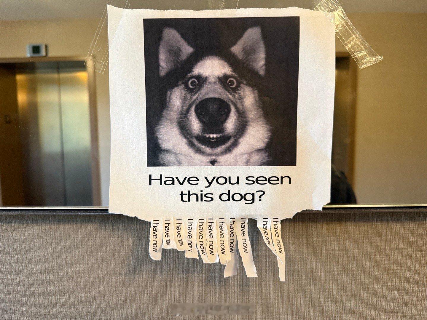 楼梯间的冷笑话。 