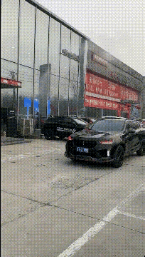 这辆车是什么状况呢？看不懂了，谁来解释一下呢。