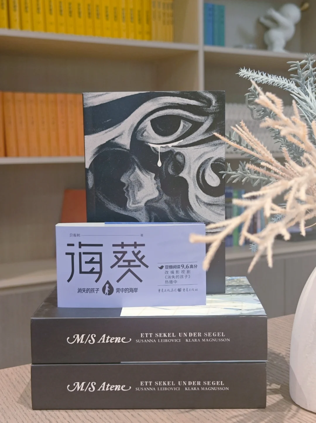 国产悬疑之光啊！后悔没早点看到这本书～