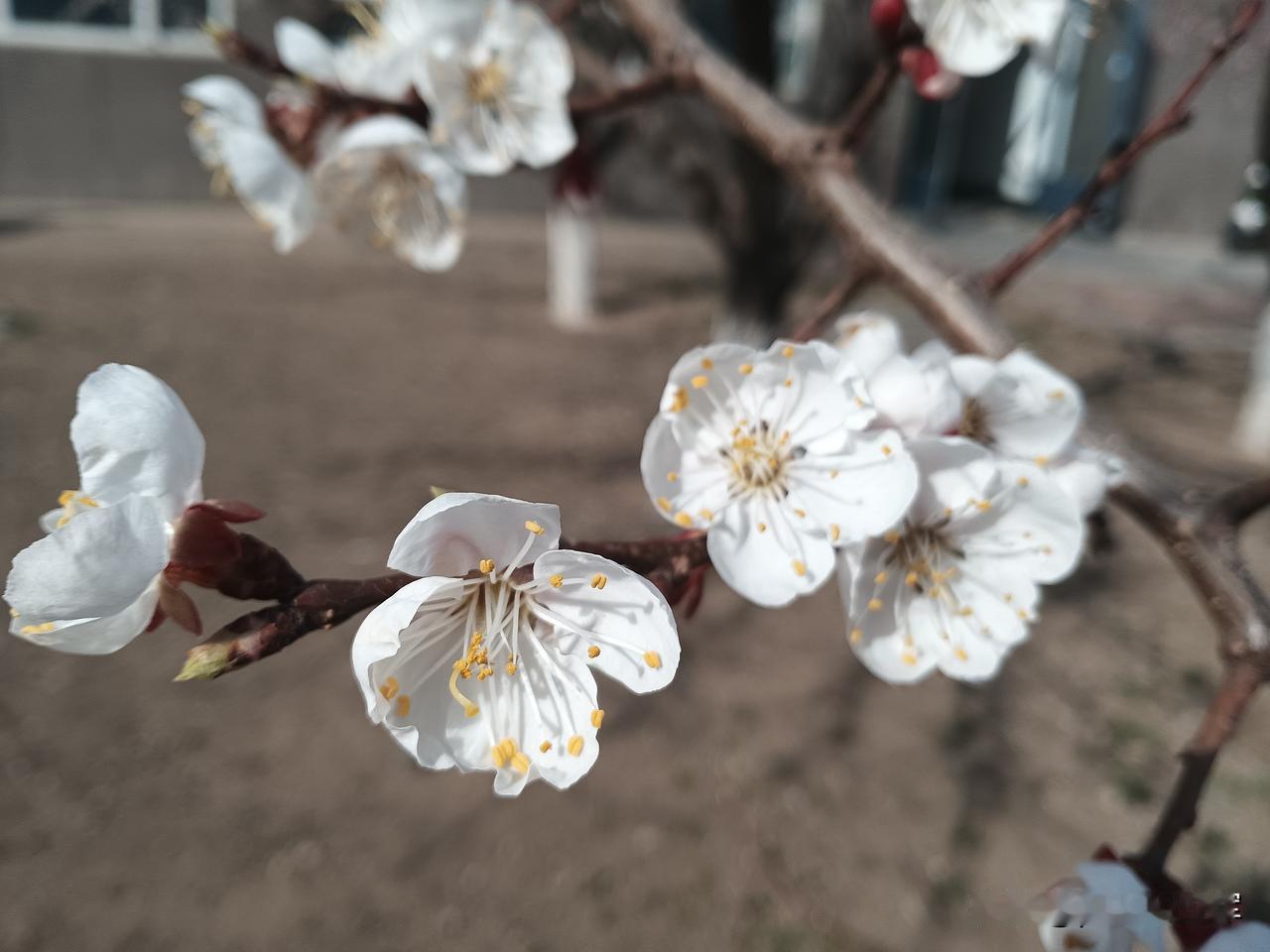 记性不好，爱忘事，吃饭掉饭粒，干起家务慢腾腾，爱累，身体状况不好，有慢性病，当孙