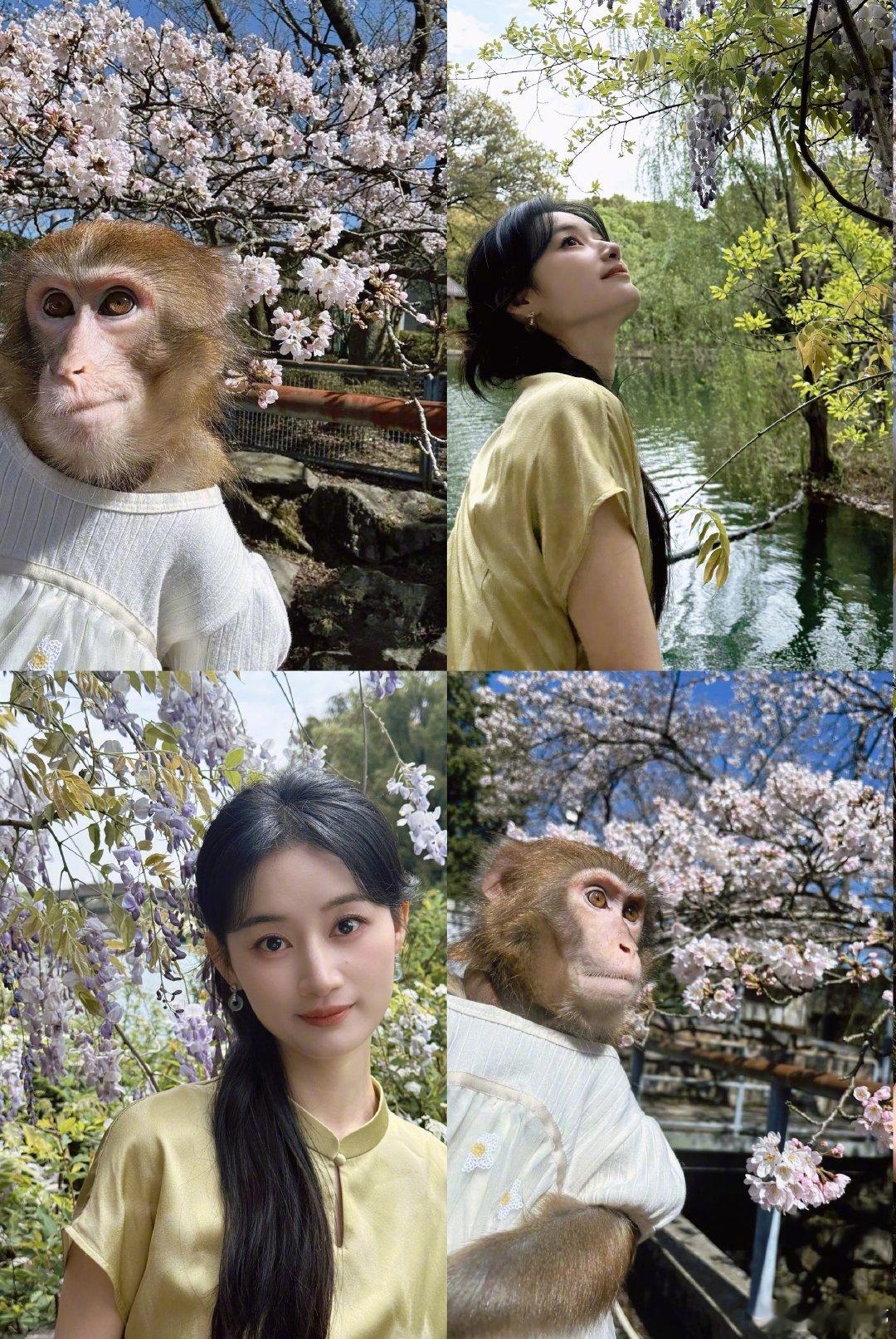 郭晓婷美好一天交换好运郭晓婷模仿小猴子拍照 郭晓婷美好一天 交换好运  模仿小猴