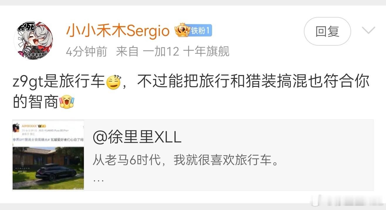 Z9GT不是旅行车是什么？有篇微博，科普了旅行车与猎装车的区别。我去年也有一篇微