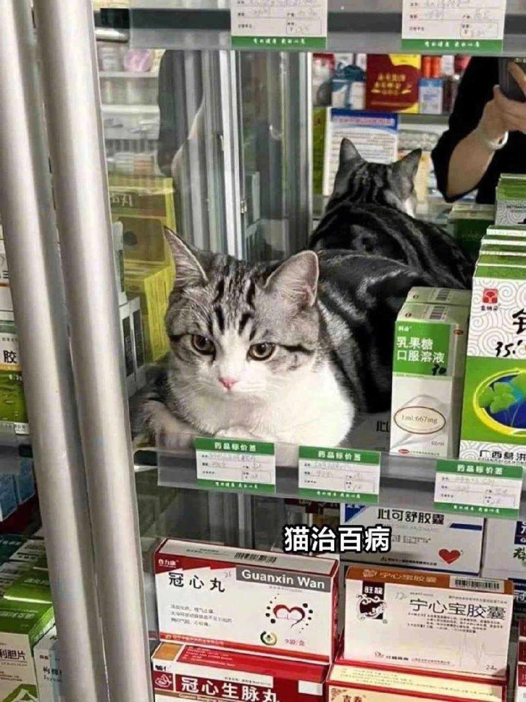 发热门诊量340