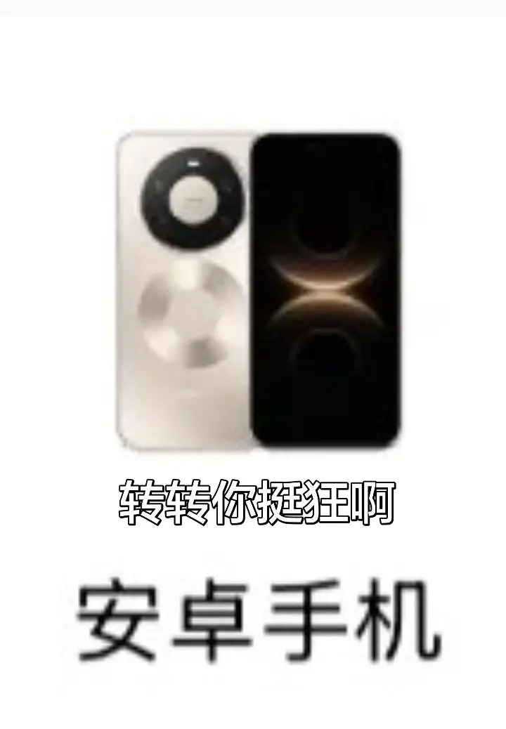 加油华为 🫪