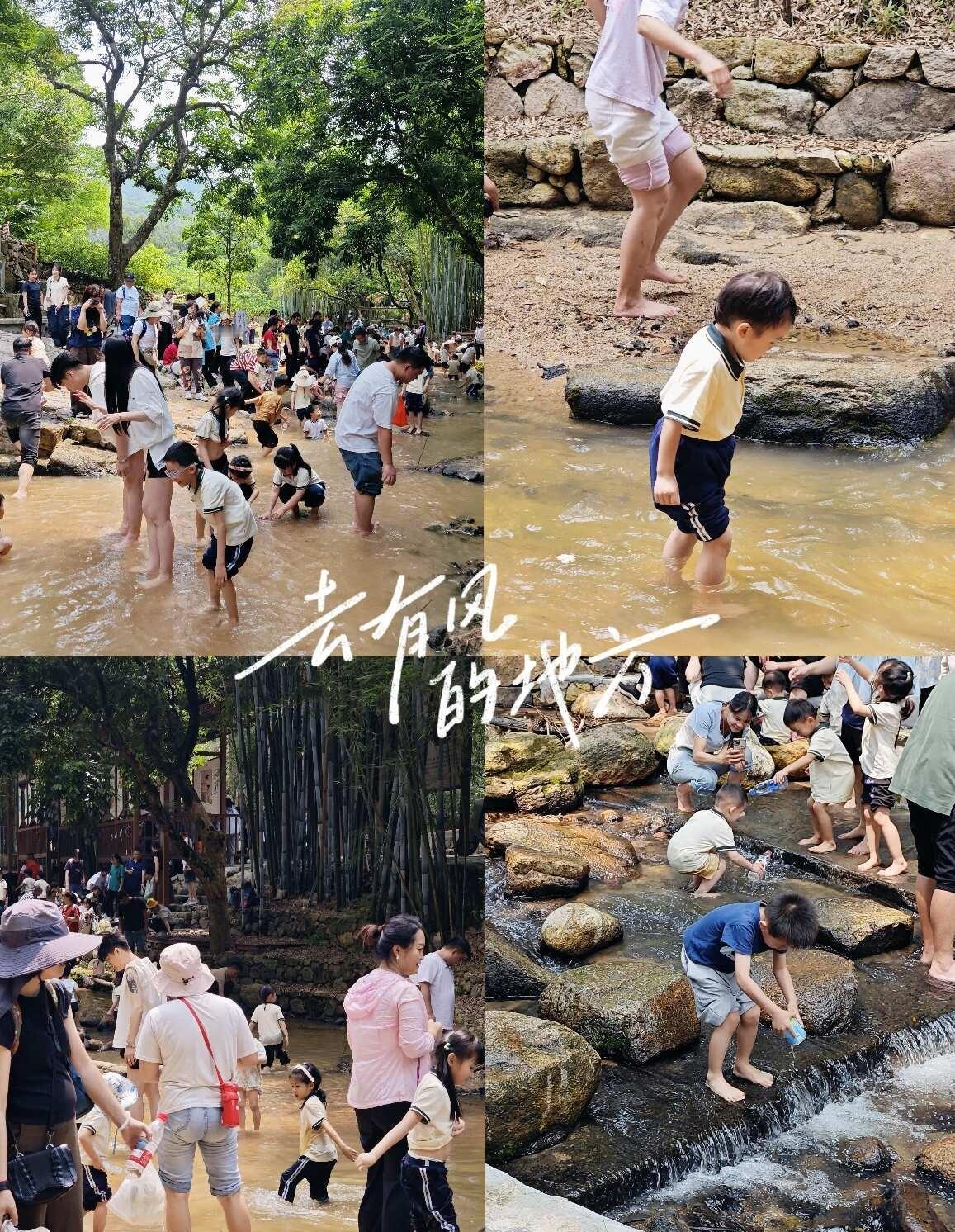 🌿七溪地2天1夜毕业游，把仪式感拉满！🎓
又是一年毕业季，不想让孩子的幼儿园