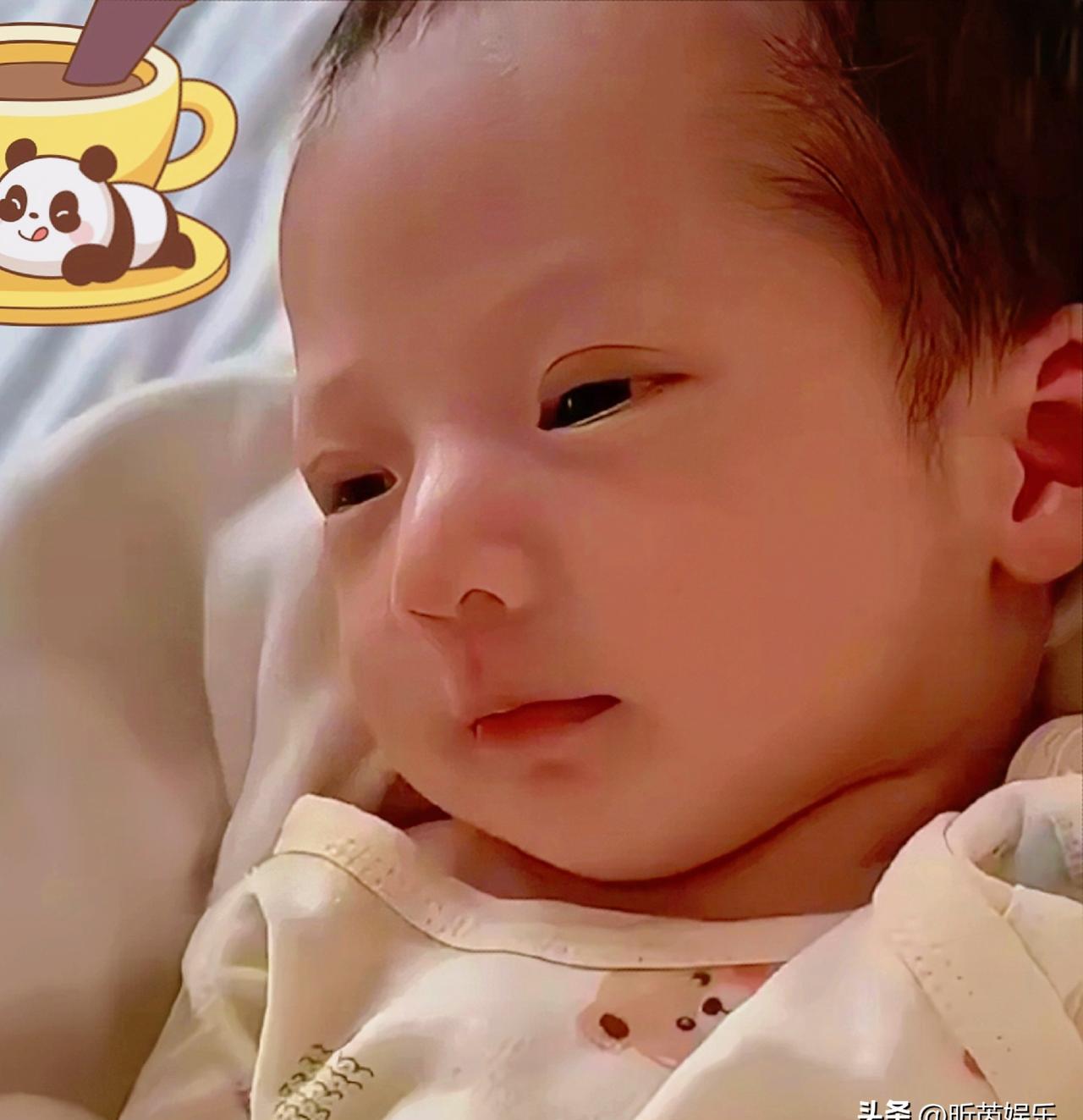 照片里那小家伙，眼皮一掀，双眼皮折得特别利索。
旁边人还没反应过来呢，汪小菲那