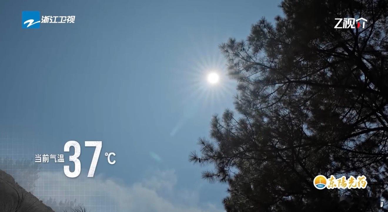 丁真中暑嗨放派看着丁真在高温下奋力奔跑，抢包、掉水里都不怕，真的是佩服他这种拼搏