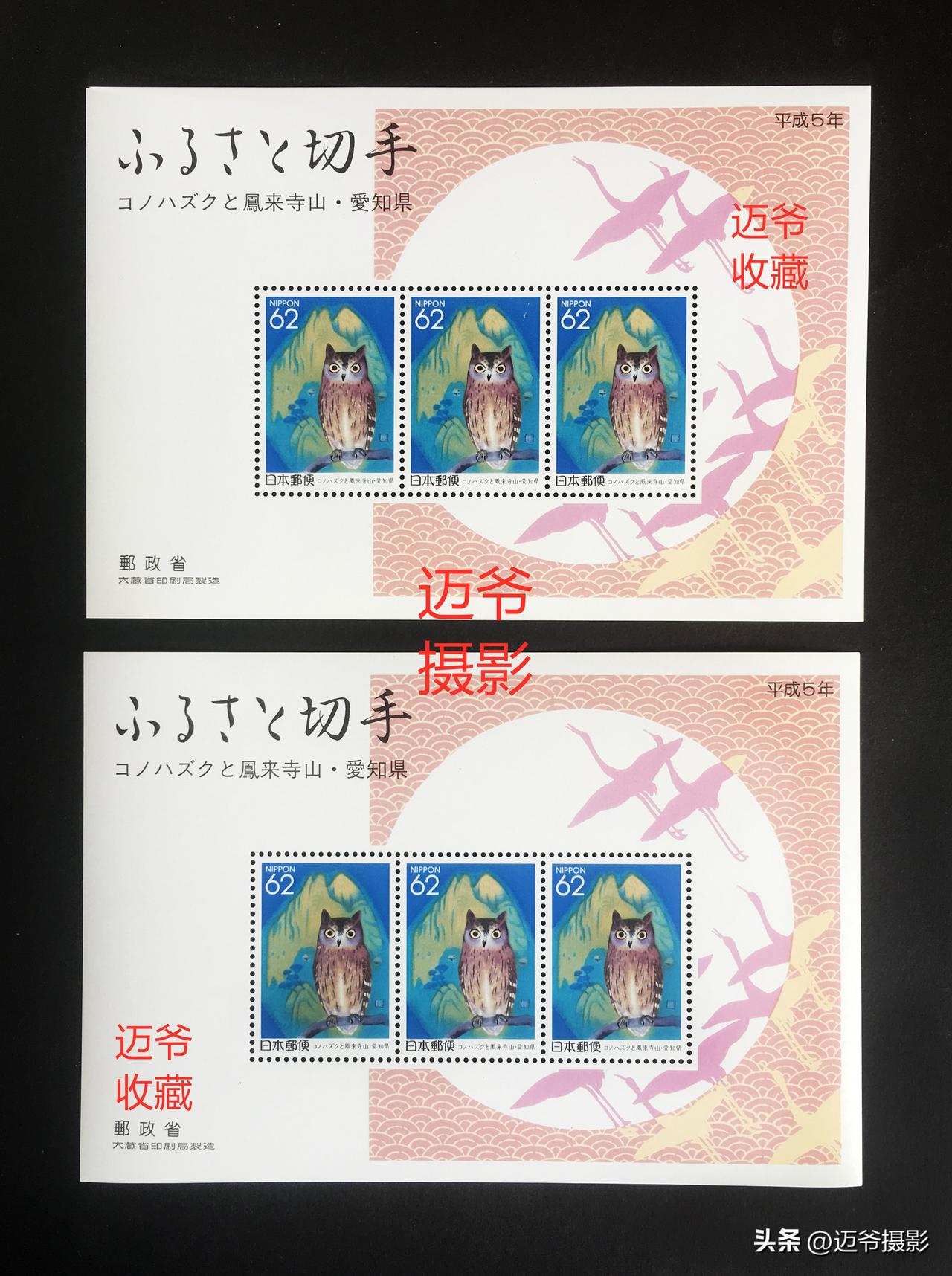 我收藏的日本地方邮票～红角鸮
1993年11月11日，日本发行爱知县地方邮票小全