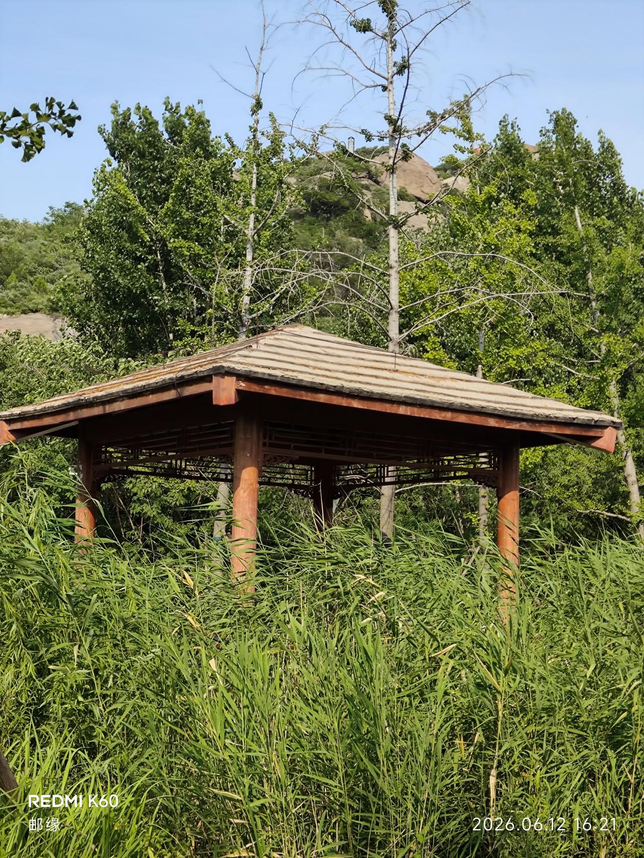 济南药山公园真是个宝藏休闲娱乐场所。这里生态环境超棒，湖水清澈，荷叶田田，岸边绿