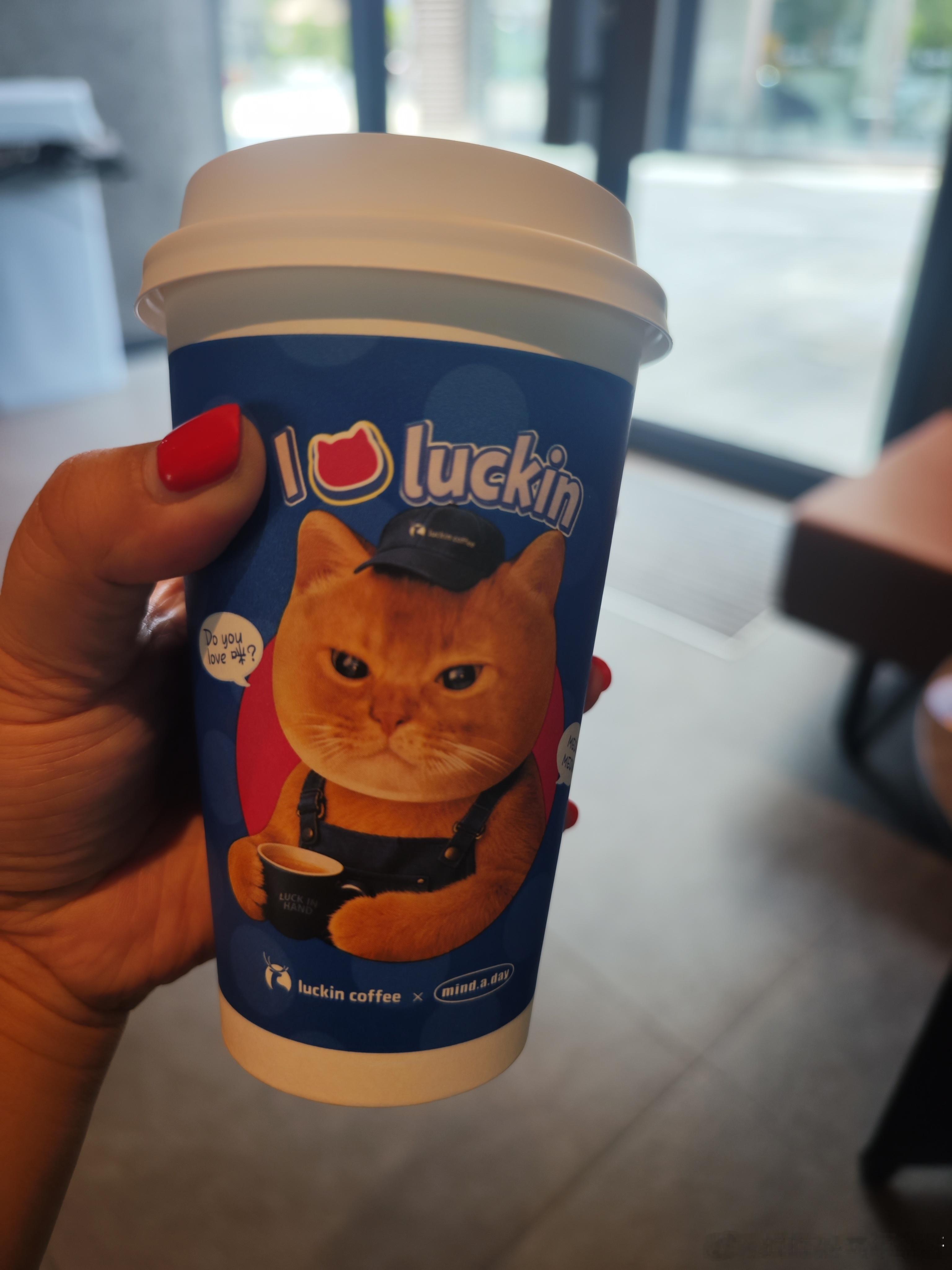 早安[超话] 猫宁Do you love 咪? ​​​