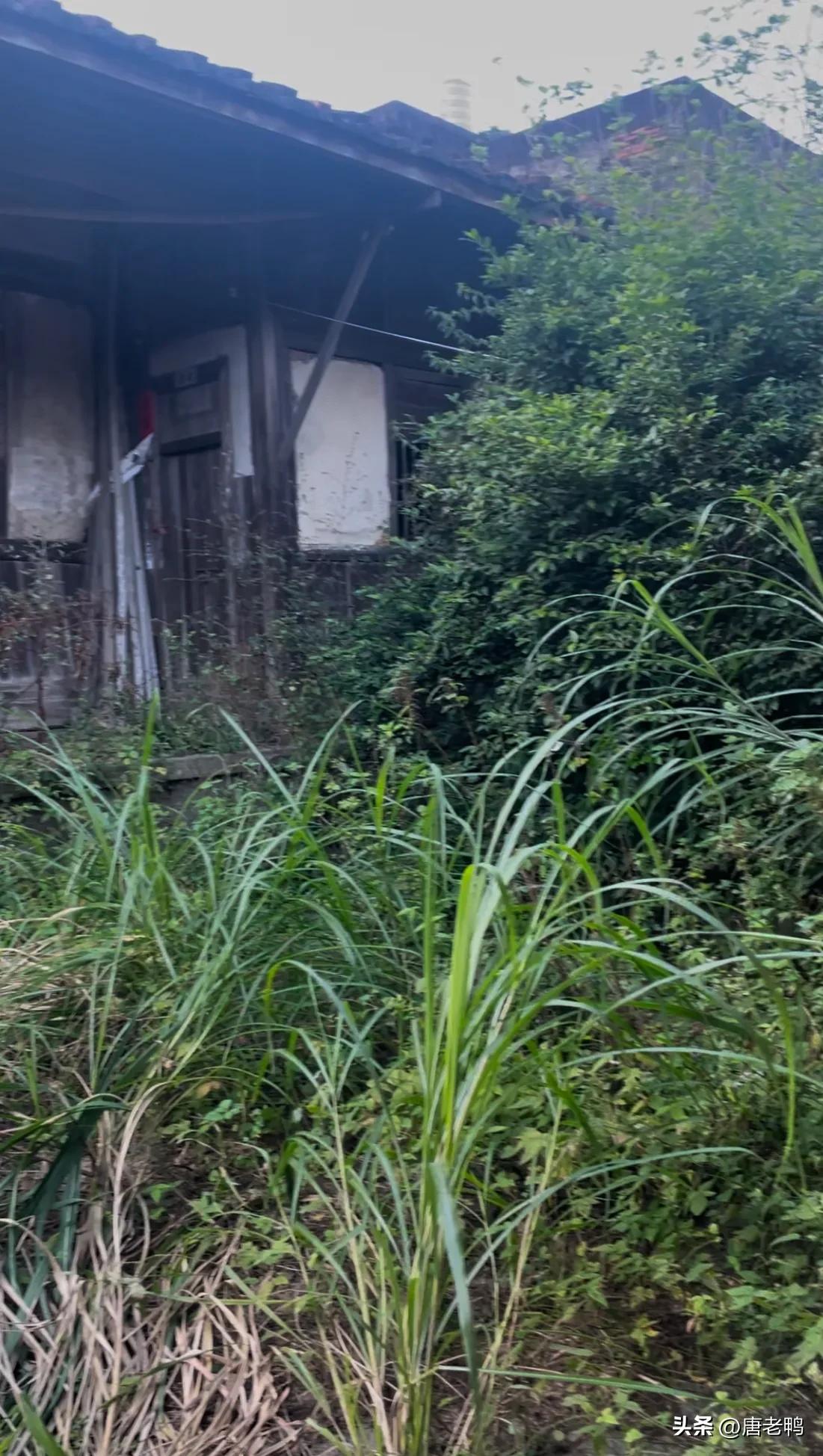 我是过来人，穷的家庭不能嫁的原因有以下几方面：
1，父母无能，好吃懒做
2，生活