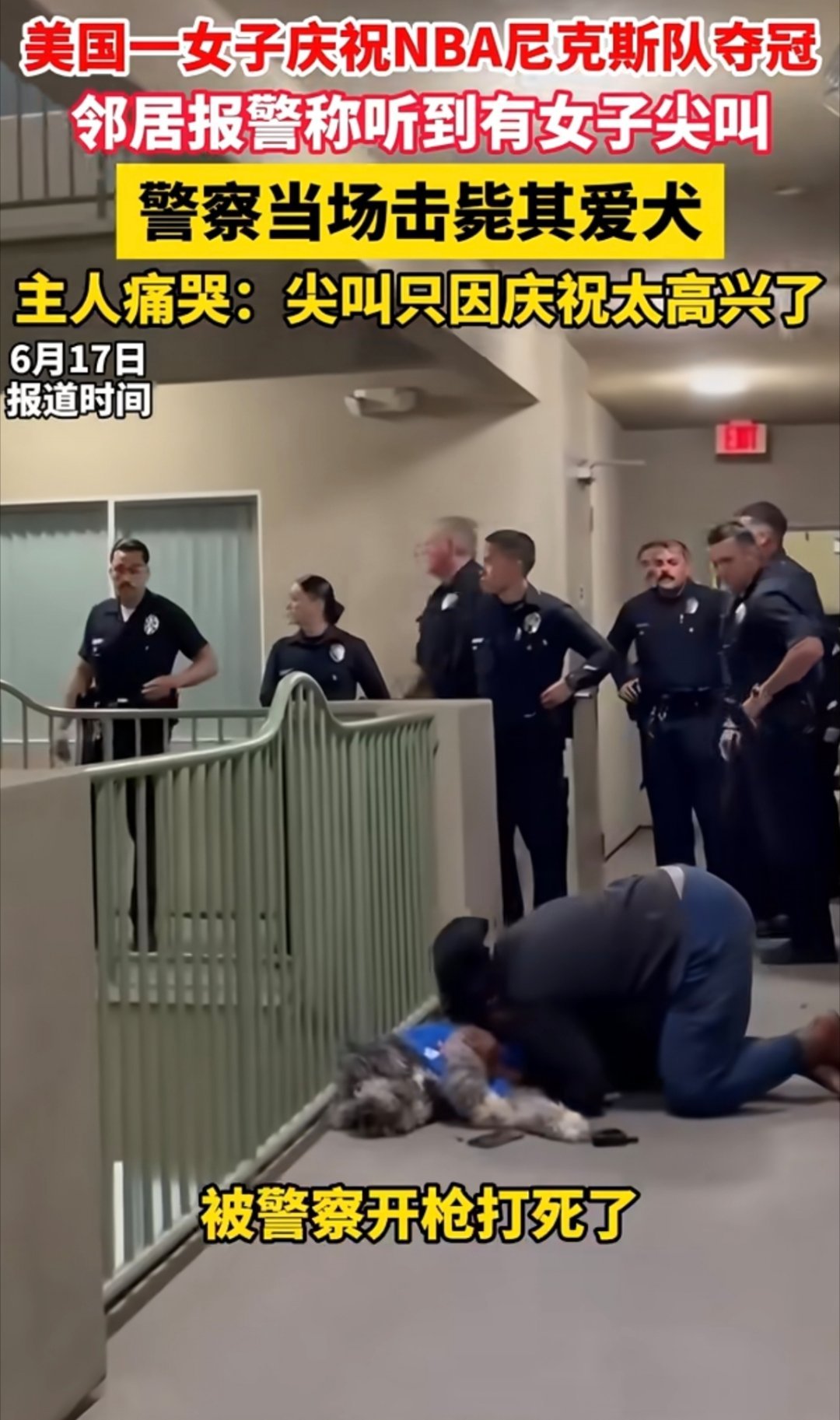 美国女子因赢球尖叫宠物狗遭击毙这个美国警察击毙宠物狗的做法有些欠妥，应该赔偿狗主