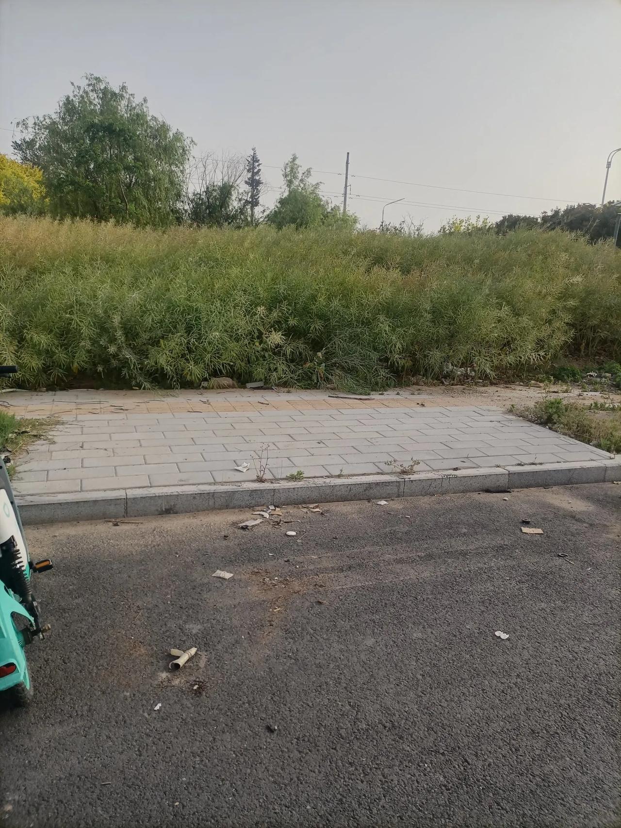 《祝福帖》
 把开心折叠成不老的纸船
让它漂在岁月的溪面
爱心是船头跃动的星光